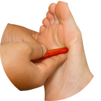 naturopathy,ayurveda,varma treatments,guasa therapy